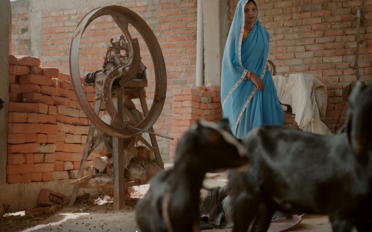 Asha Kiran — photo 5 of 5