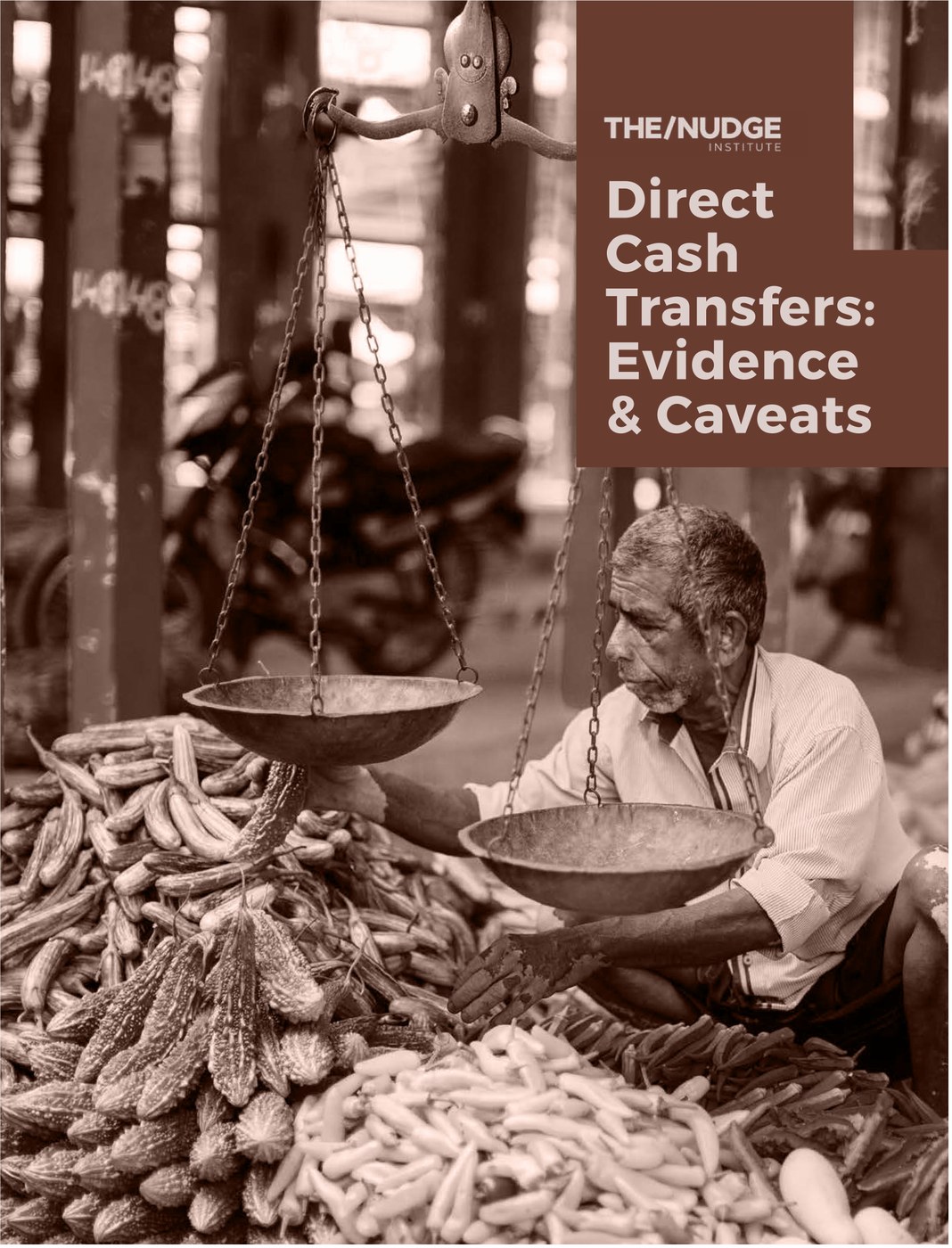 Direct Cash Transfers: Evidence & Caveats cover