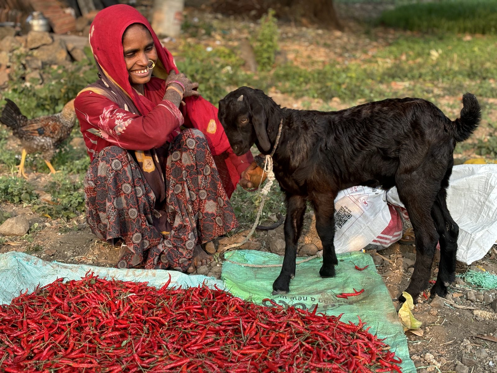 A goat of her own. Manjila Damor